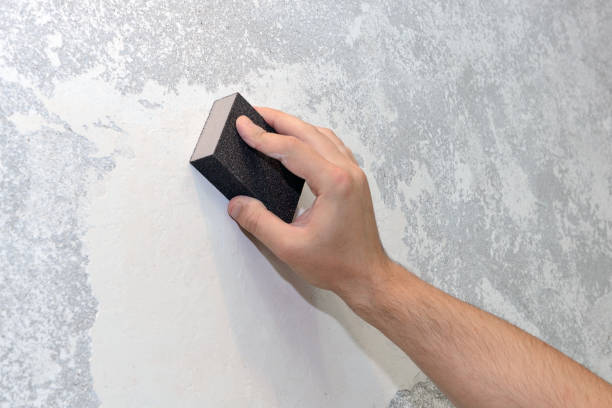 Best Post-Construction Mold Inspection  in Leisure Village East, NJ