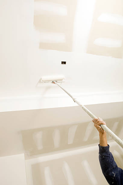  Leisure Village East, NJ Mold Removal Pros
